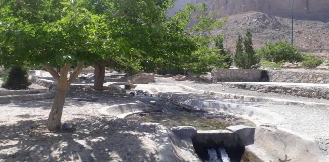 چشمه تامهر تفت جان دوباره گرفت چشمه تامهر تفت جان دوباره گرفت