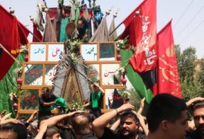 تصاویر نخل‌برداری حسینیه نظر کرده یزد