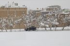 باران و برف مهمان یزدی‌ ها